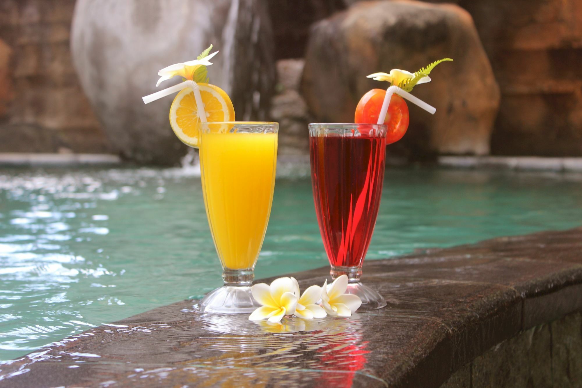 Hotel Chonos Lovina  Luaran gambar